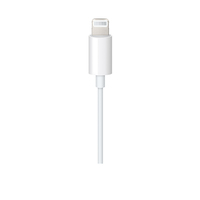 Apple 2