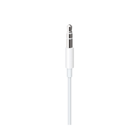 Apple 3