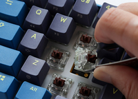 Ducky 4