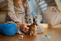 Schleich 16