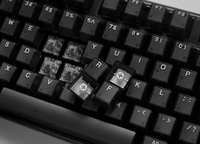 Ducky 4