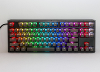 Ducky 1