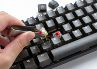 Ducky 6