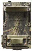 Braun 6