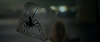 Spiders - Ihr Biss Ist Der Tod 2
