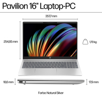 Hewlett Packard 13