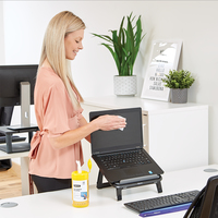 Fellowes 3
