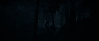 Horror 14