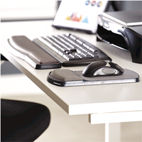 Fellowes 3