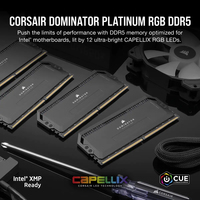 Corsair 8