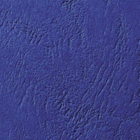 Copertine Per Rilegatura 3