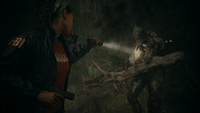 Horror 6