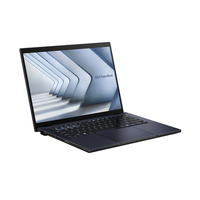 Asus 13
