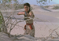 Im Tal Des Verderbens 2