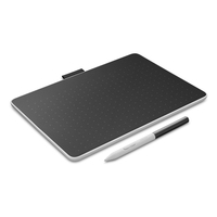Wacom 13