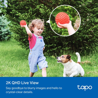 Tapo 4