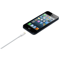 Apple 3