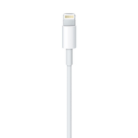 Apple 4