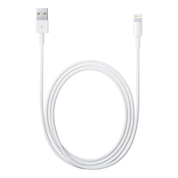 Apple 4