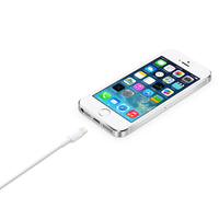 Apple 6
