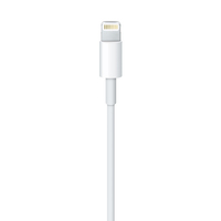 Apple 7