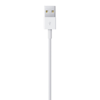 Apple 8