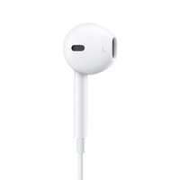 Apple 4