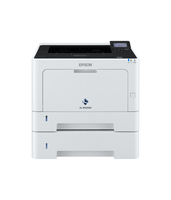 Epson 8