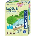 Kosmos - Lotus-Blume, Experimentierkasten