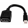 Hp - HP Single miniDP-to-DP Adapter Cable