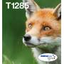 Epson - T1285 Easy Mail Packaging - 4er-Pack - 16.4 ml - Schwarz, Gelb, Cyan, Magenta - Original - Box - Tintenpatrone - fr Stylus [EURO-Version]