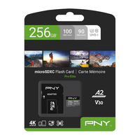 Pny Technologies 2