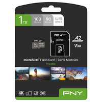 Pny 1