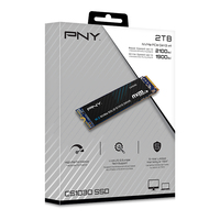 Pny Electronics 1
