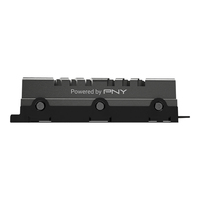 Pny 6