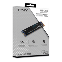 Pny Electronics 1
