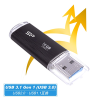 Silicon-power 12