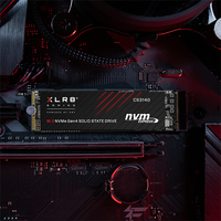 Pny Electronics 2