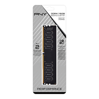 Pny 1
