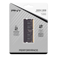 Pny 1