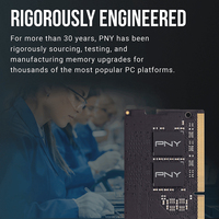 Pny 6