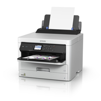 Epson - Gre Xxl - Schwarz - Original - Tinten-p 2