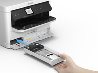 Epson - Gre Xxl - Schwarz - Original - Tinten-p 3