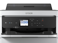 Epson - Gre Xxl - Schwarz - Original - Tinten-p 4