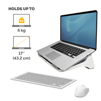 Fellowes 4