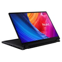 Asus 13