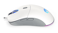 Endorfy 1