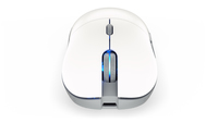 Endorfy 11