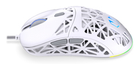 Endorfy 12