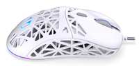 Endorfy 15